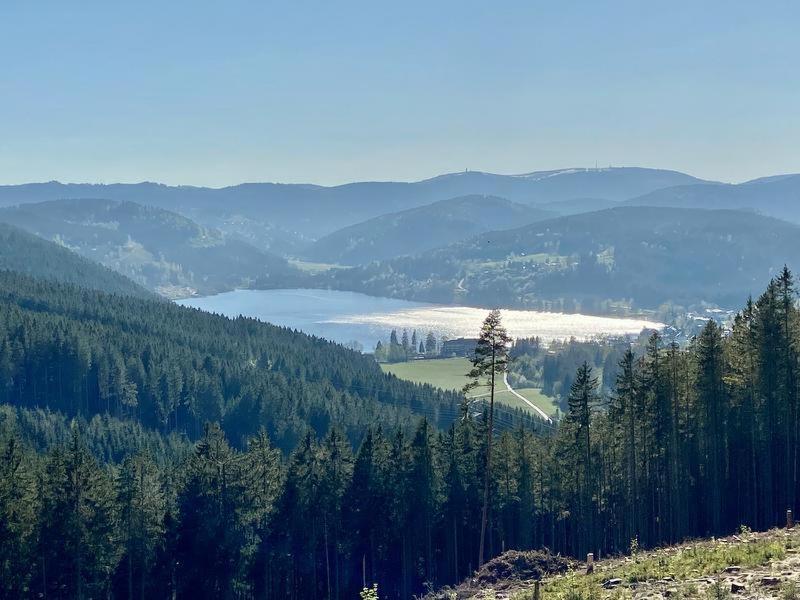Hotel Zartenbach Hinterzarten Exteriér fotografie
