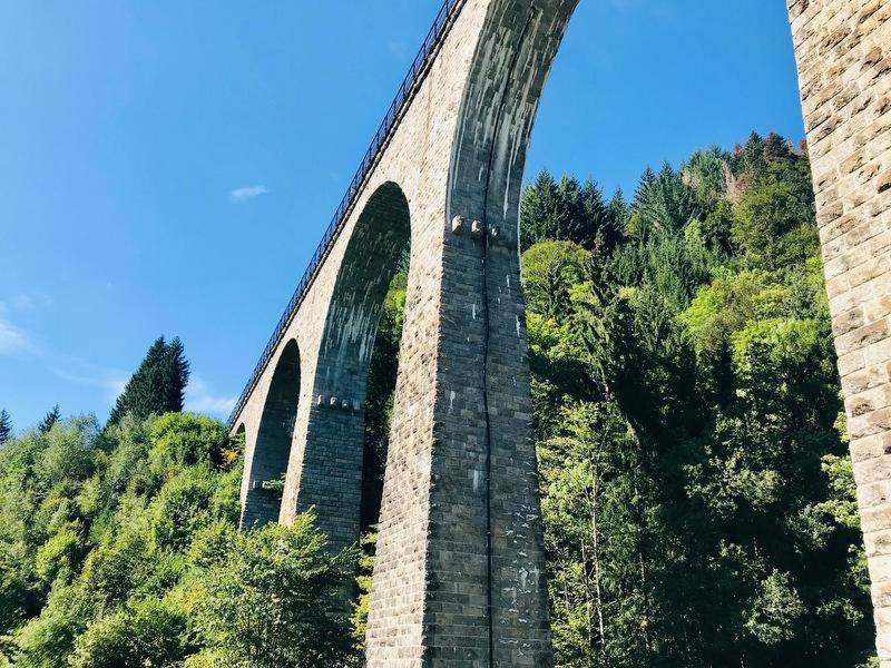 Hotel Zartenbach Hinterzarten Exteriér fotografie