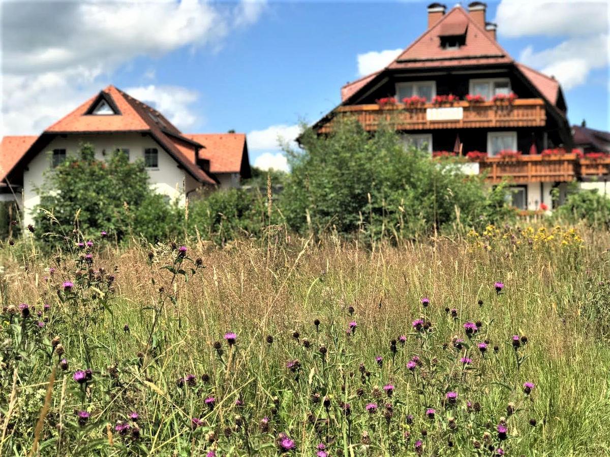 Hotel Zartenbach Hinterzarten Exteriér fotografie
